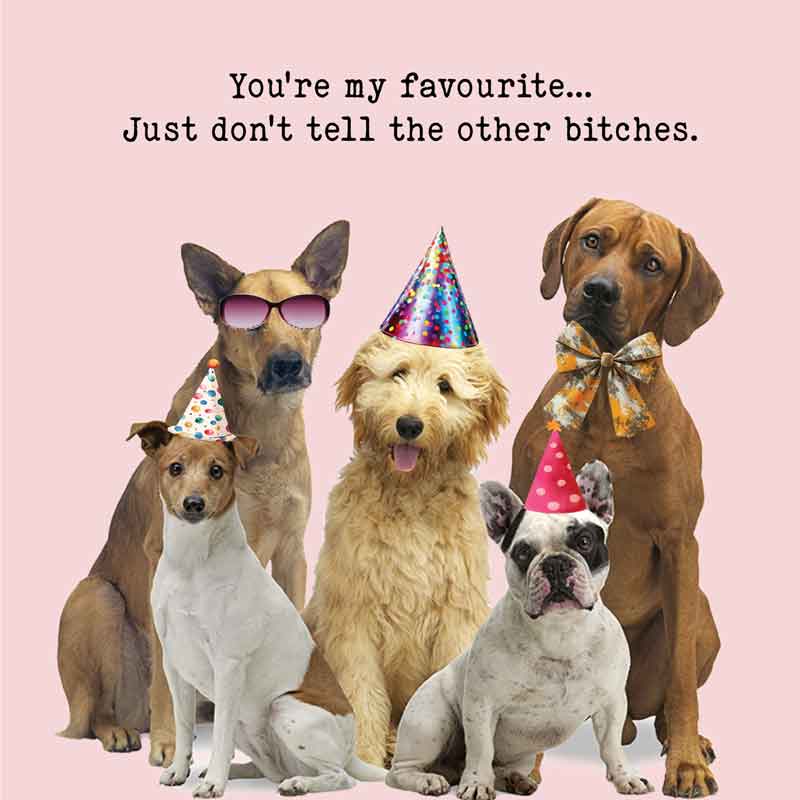 Lucy Loves Life Card - You're My Favourite