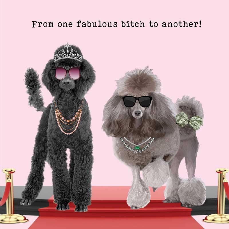 Lucy Loves Life Card - Fabulous Friend