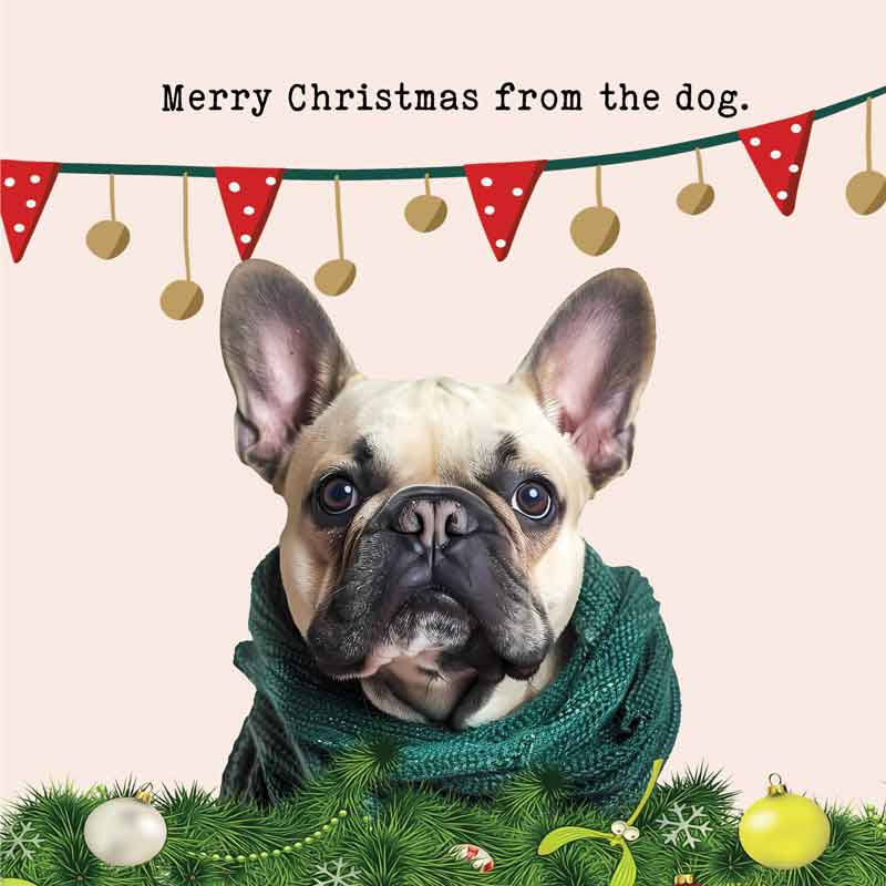 Lucy Loves Life Card - Merry Christmas From The Dog (Frenchie)